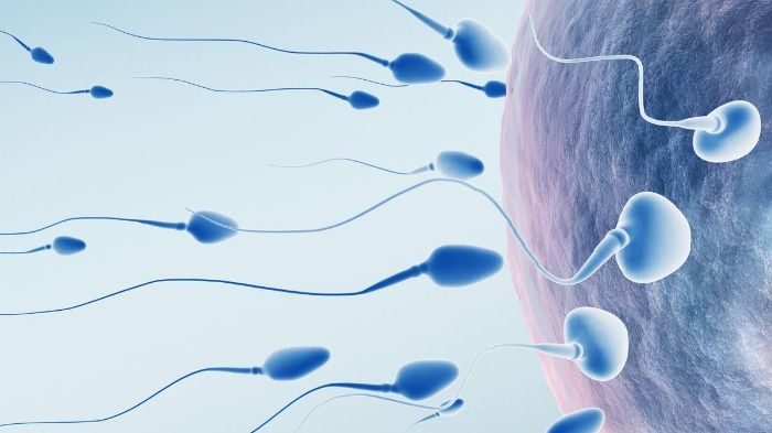 El nou símptoma de la Covid: la infertilitat entre homes