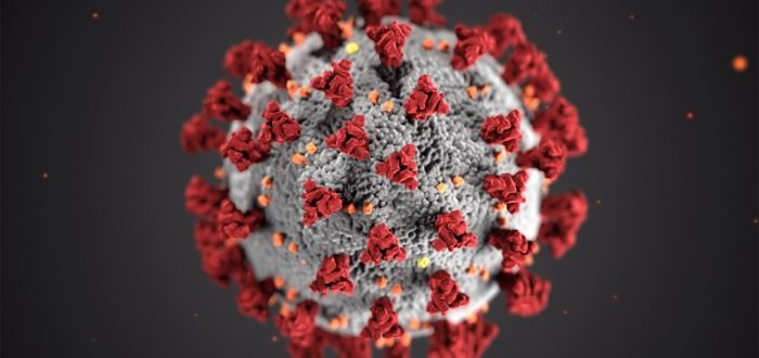 Coronavirus :La cepa Manaos genera anticuerpos a largo plazo