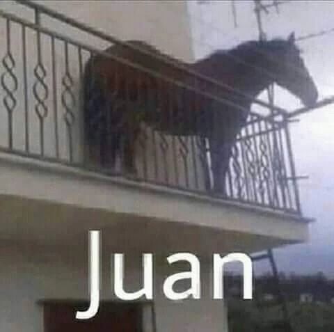 *Juan*