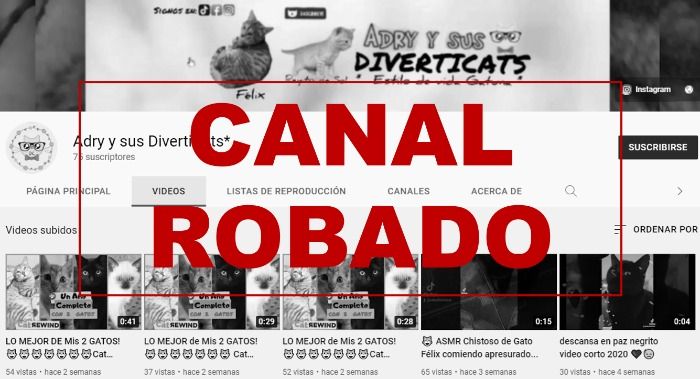 La Youtuber Adry Ana María Ávila del canal Ana y sus Diverticats copió el canal de Adry y sus Diverticats