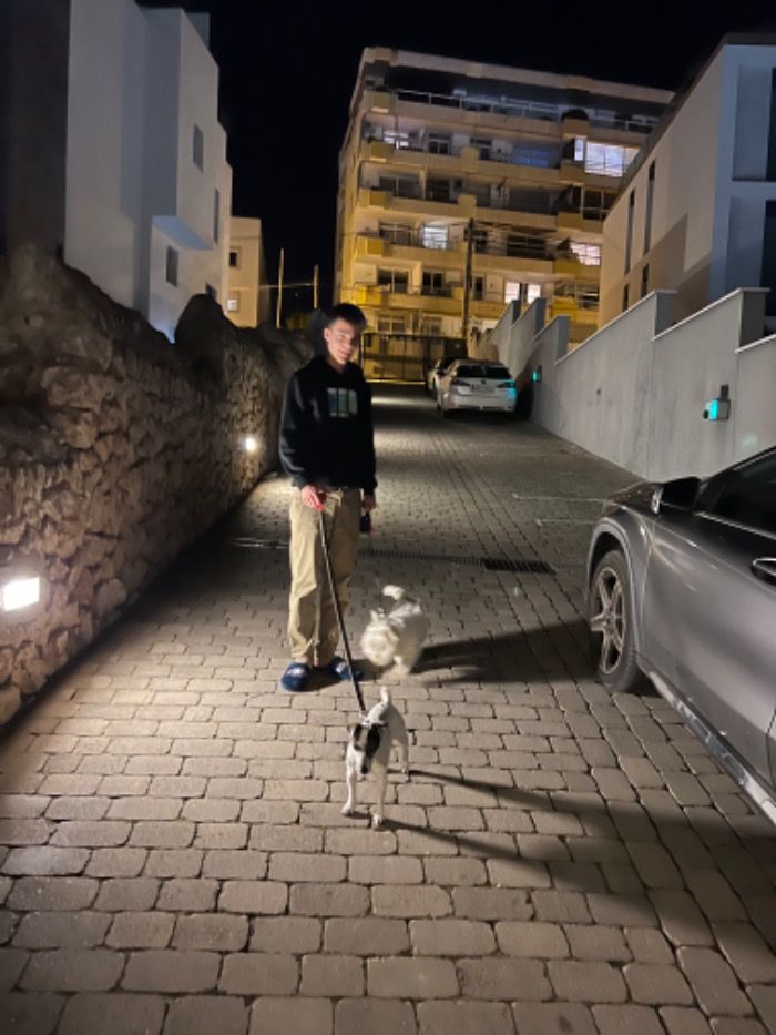Fenómenos extraños en Vista Alegre: chicos paseando perros y sacando la basura