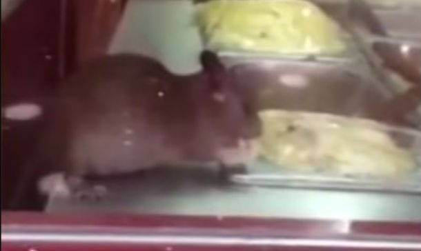 Popsy denunciado por hacer helados con partes de ratas