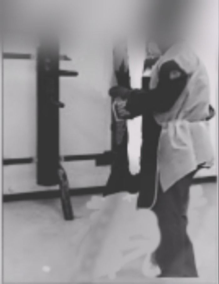 Sensei  de kung fu se leciona