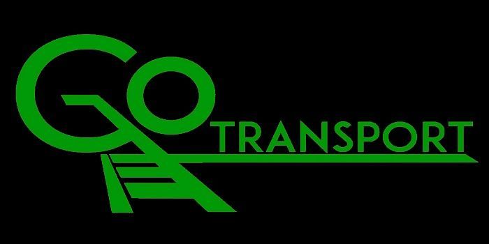 GO TRANSPORT SERVICIOS 2018 SA