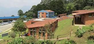 Otro colegio de Medellín cierra sus puertas