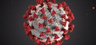 El Maricoronavirus: nueva mutación de la Covid