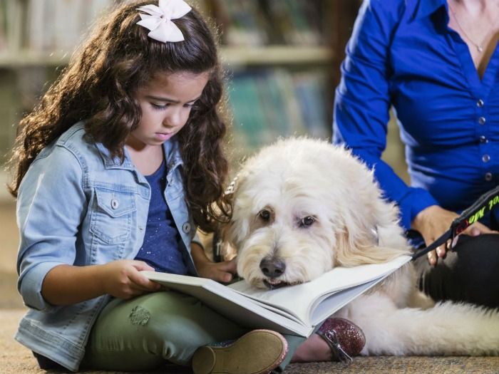 Nueva escuela de perros enseña a leer