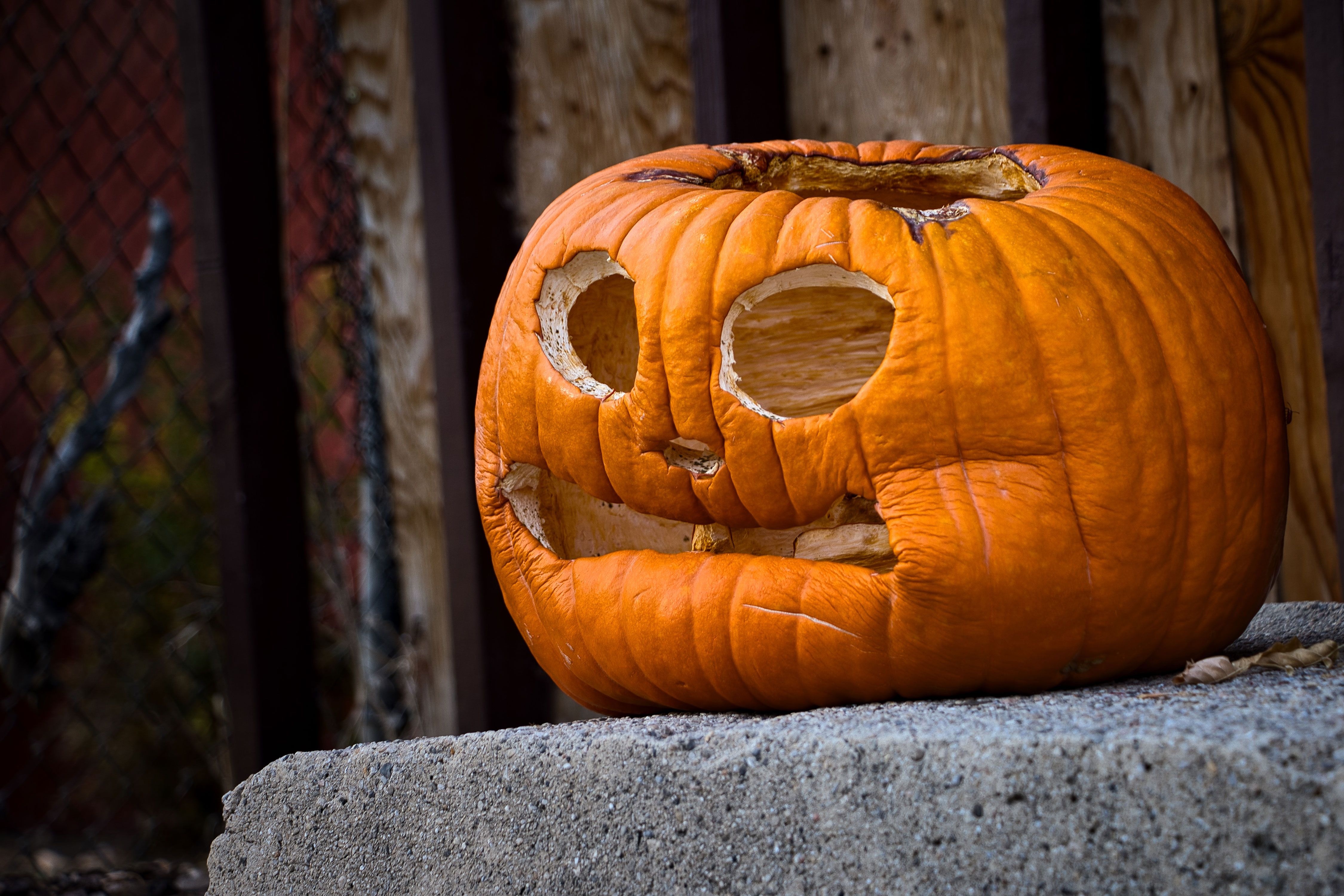 La coalición de PP - VOX prohíbe la celebración de la fiesta de Halloween por no ser representativa de nuestra cultura.