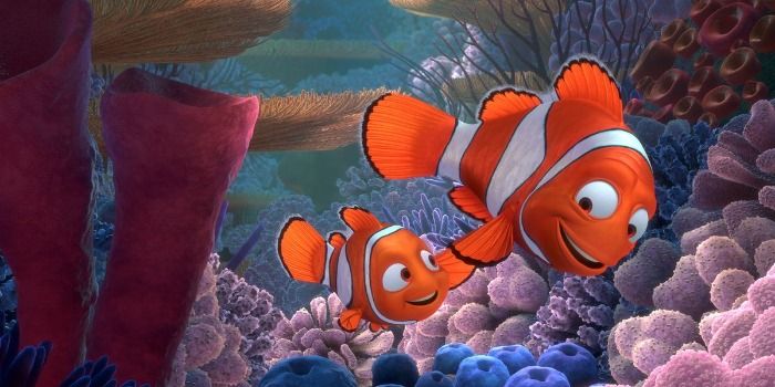 Joven desata alegria al encontrar no solo a Nemo sino a toda la familia y su desendencia