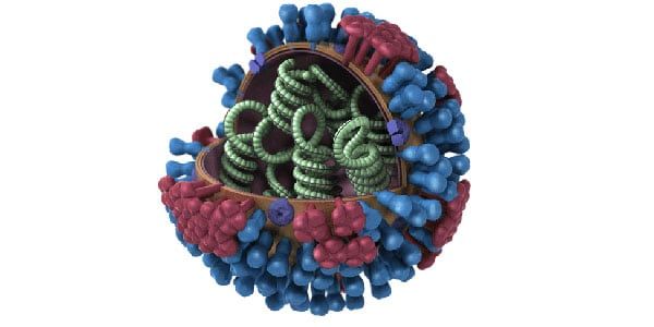 Investigadores crean virus que podría causar nueva pandemia