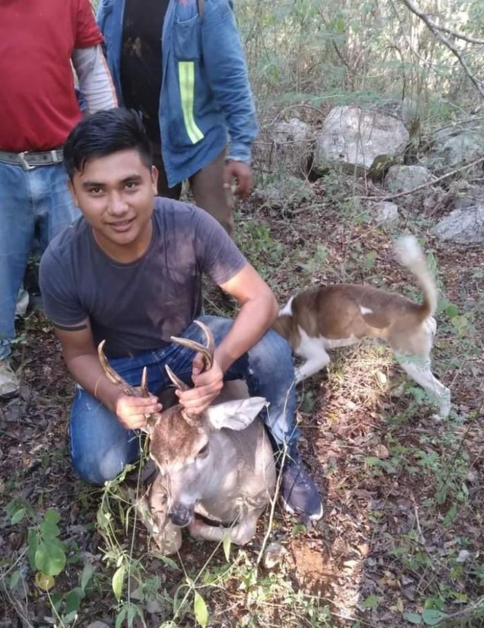 Denuncian caza ilegal de venado en el municipio de Umán; han matado a 60 en un mes