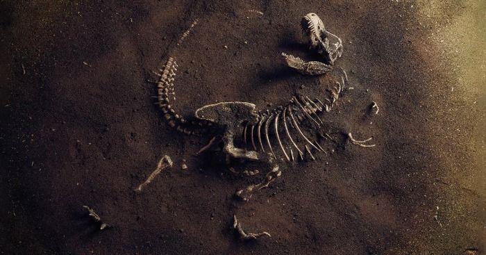 Una empresa de suministros industriales de Tudela descubre los restos de un T-Rex en su subsuelo.
