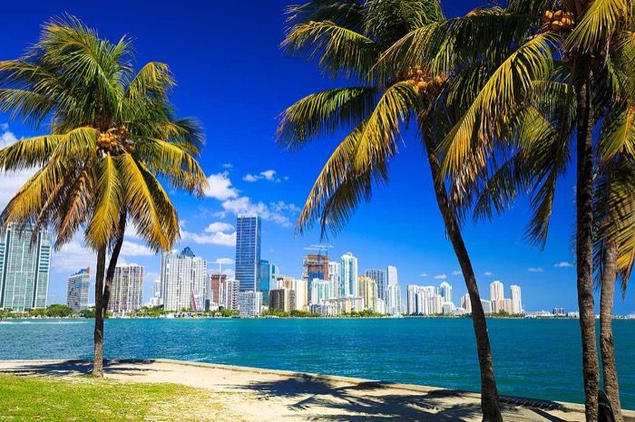 Miami es el blanco del los turistas