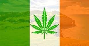 Se encontraron tierras muy fértiles en el centro de Irlanda que podría proveer marihuana mundial