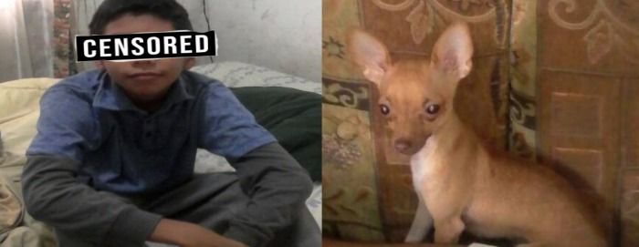Mexicano abusa sexualmente  de un perro de Chiapas