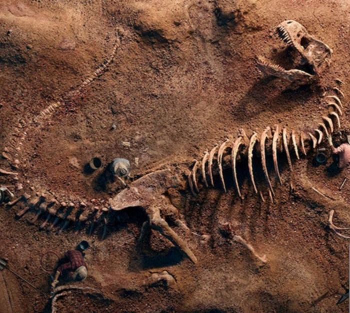 Encuentran fosil de dinosaurio en la Union