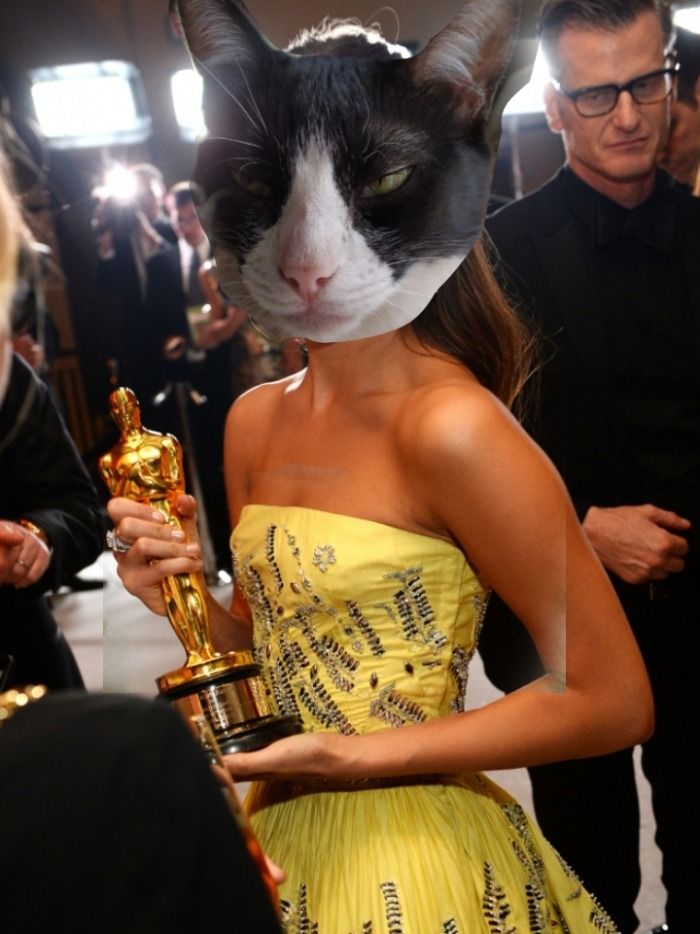 Lola Ha Ganado La Categoría En Los Cat Awards Del Paved The Way