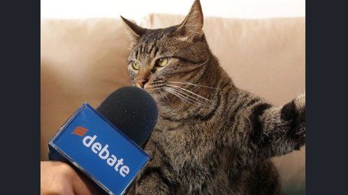 Frente de Todos presentó a su candidato para presidente: un gato.