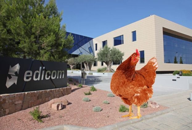 La empresa tecnológica Valenciana EDICOM admitirá gallinas como moneda de facturación de servicios.