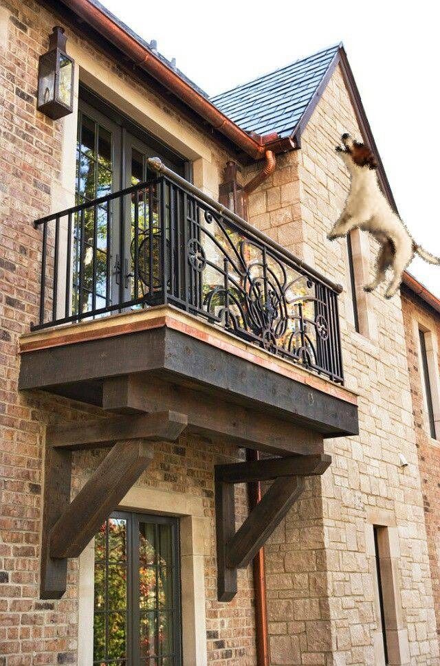 Un perro es capaz de saltar 10 metros de alto