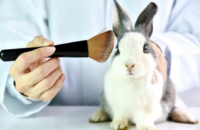 Victoria’s Secret cierra debido a el uso de sus productos en animales
