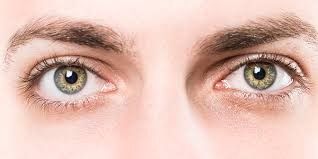El tamaño de los ojos van en relación con el de tu miembro viril según la universidad de Michigan