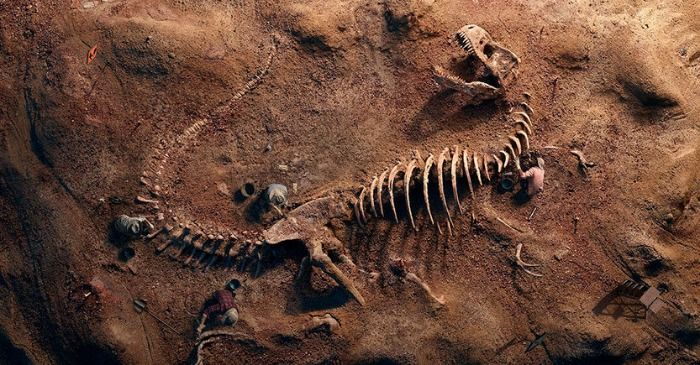 Encuentran restos de huesos de Dinosaurios en un municipio de Granada