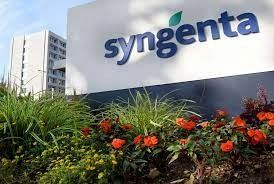Syngenta, reconocida como la empresa más responsable con el medio ambiente