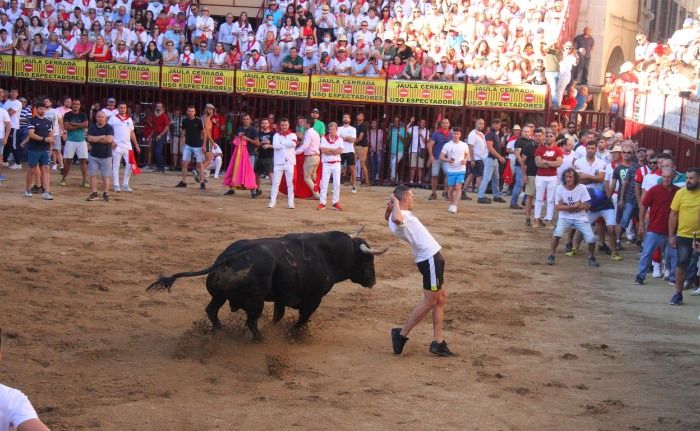Se cancela el festival del toro de Coria por un brote de Salmonelosis