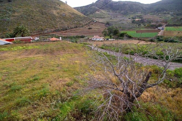 Vandalismo rural en Tenerife