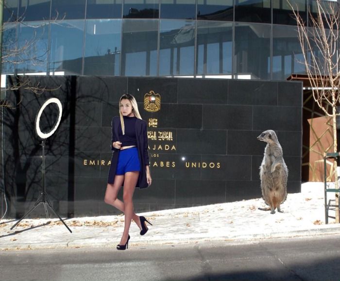 Un suricato fagota desangrado se cuela en la Embajada Árabe en Madrid