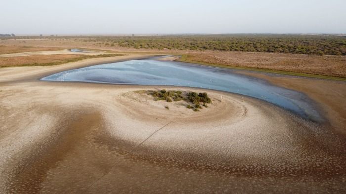 Mantener el flujo de los ríos, el verdadero motivo por el que Doñana se queda bajo mínimos