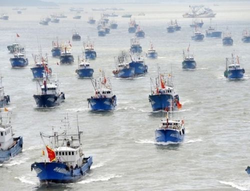 El gobierno Duque otorga permisos a la Flota Pesquera China para que realicen faenas de pesca en aguas jurisdiccionales de Colombia.