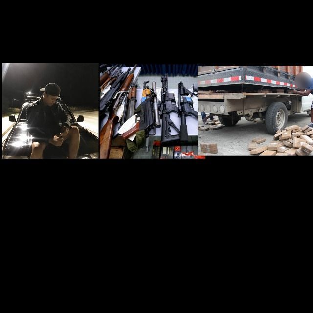 Decomisan 2.6 toneladas de cocaína y armas de fuego de alto calibre en cargamento de ganado