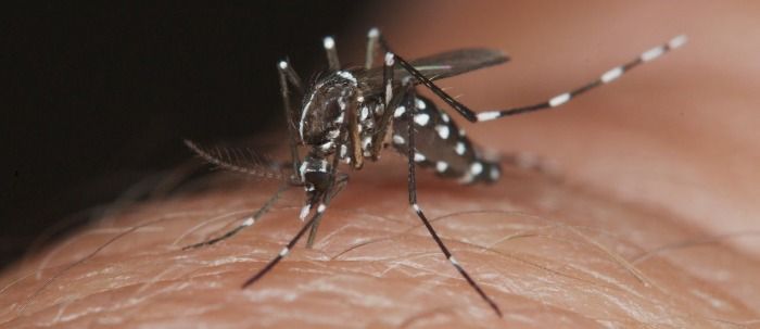 Posible caso de dengue hemorrágico en la Sierra Gorda Queretana