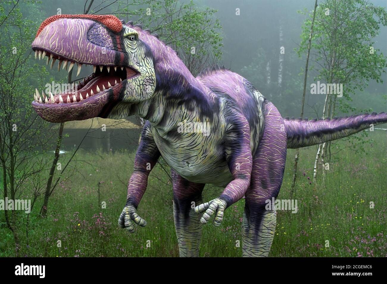 Descubierta una nueva especie de dinosaurio gigante en una remota isla deshabitada
